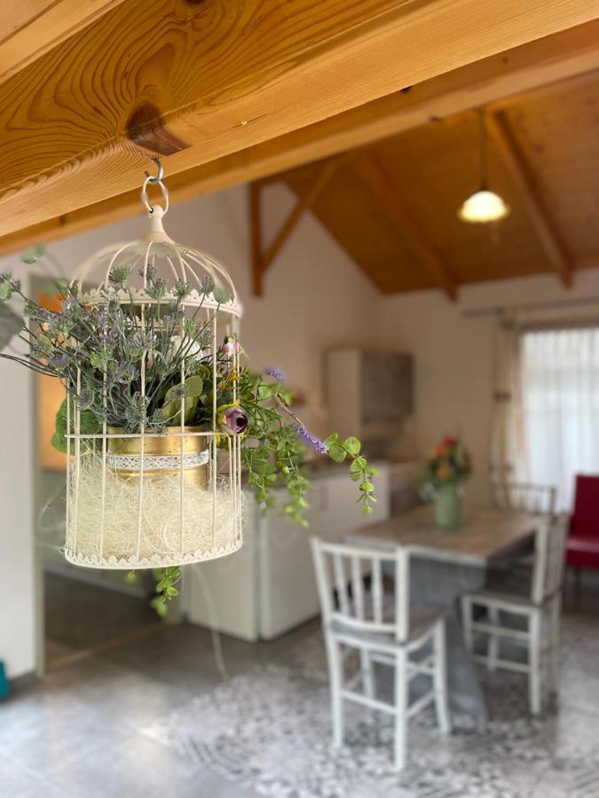 Ibolya Apartman Csisztapuszta Exteriér fotografie